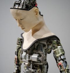 Human Machine AI