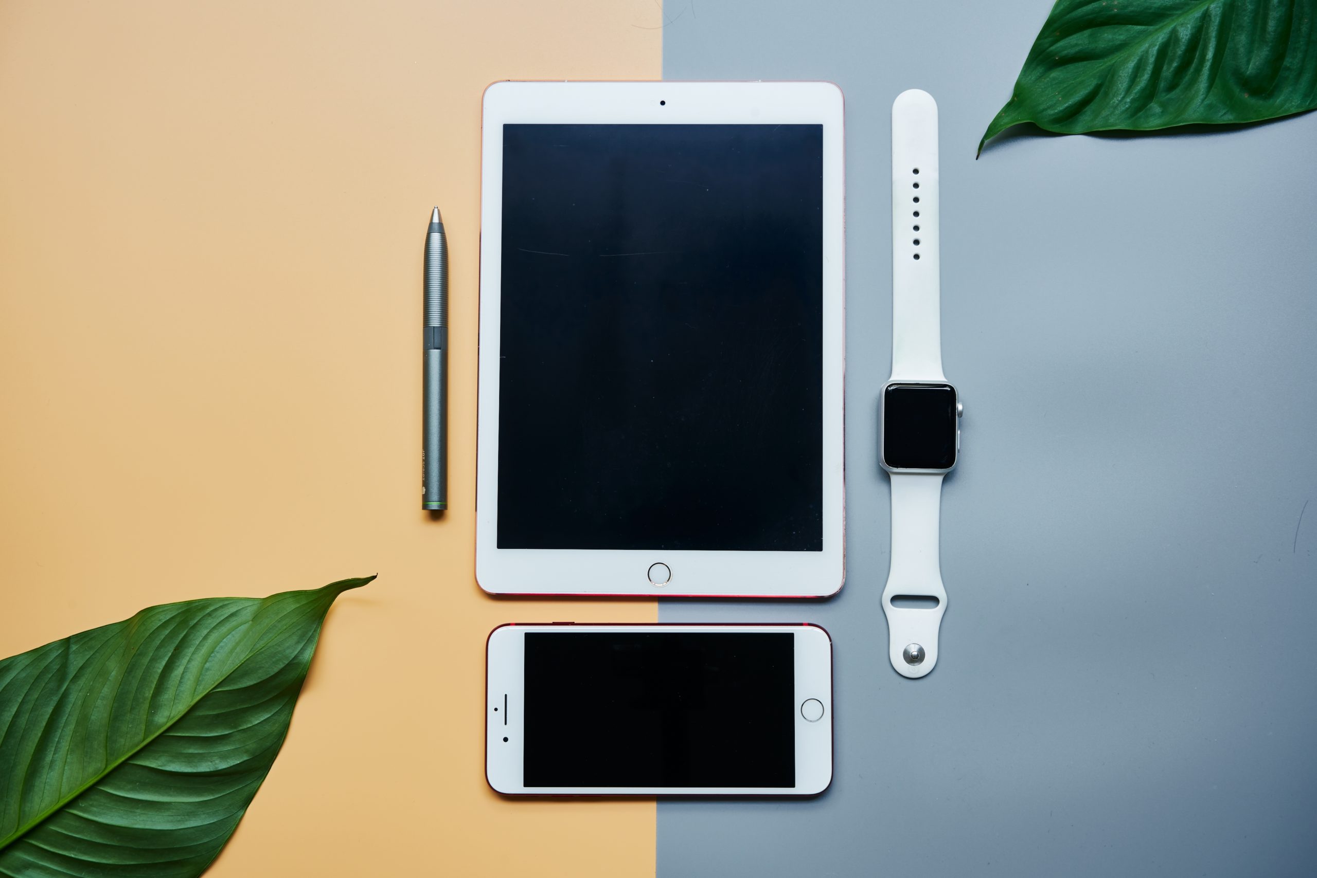 iOS 15 and iPadOS 15 coming Sept