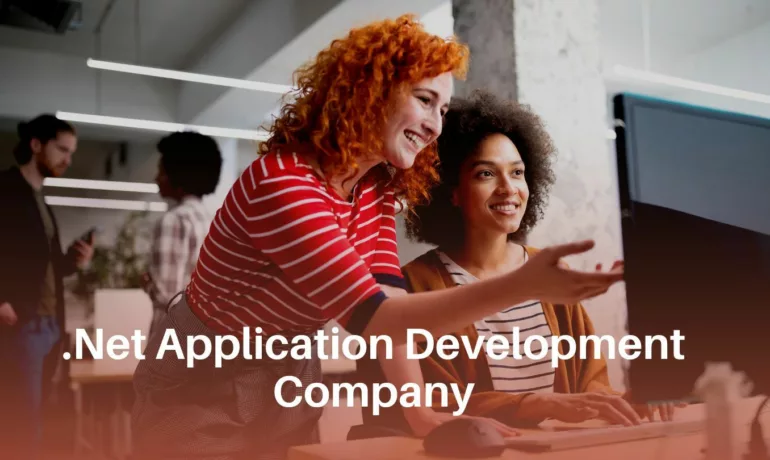 Net Application Development Company