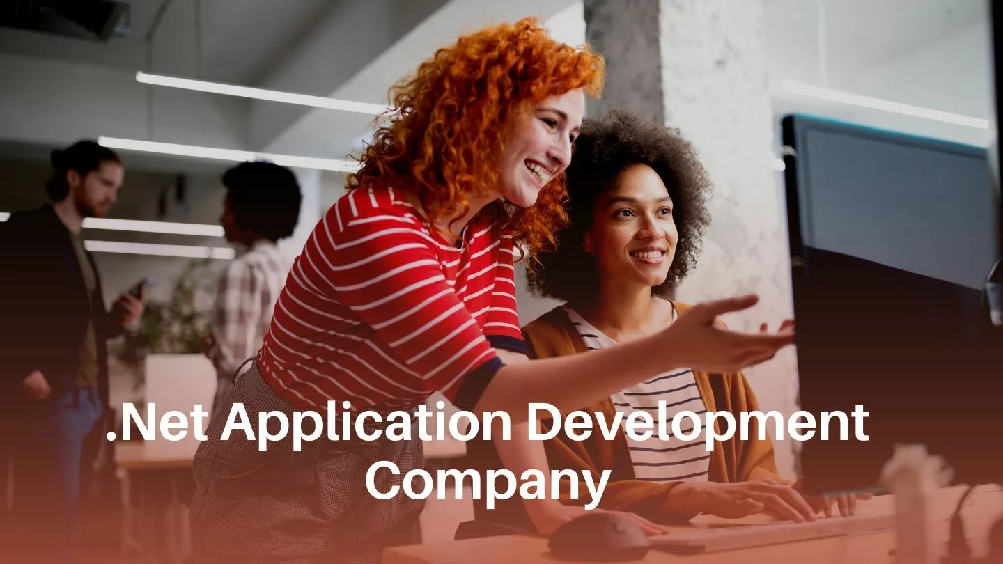 Net Application Development Company