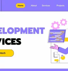 Web Development Services by I Can Infotech